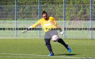 巴斯图尔克在土耳其国家队里是啥地位|磁儿足球说