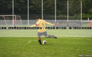 天津津门虎单赛季进球王：揭秘队史单赛季进球最多的球员是谁