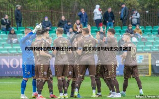 布莱顿对伯恩茅斯比分预测：海鸥与樱桃的英超对决前瞻