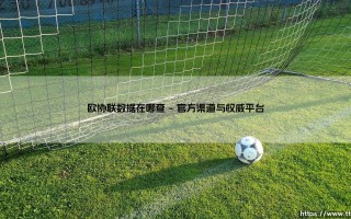 欧协联数据在哪查：全方位指南带你轻松获取赛事信息