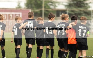 丹麦超节奏快还是慢：探索联赛的攻防转换与战术脉搏