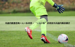 乌迪内斯是否有一人一队球员【足球故事】