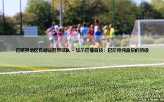 巴斯克地区有哪些西甲球队？探寻西班牙巴斯克地区足球的独特力量
