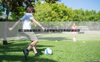 西汉姆联算强队吗？深入解析铁锤帮的英超定位