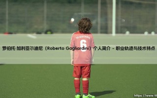 罗伯托·加利亚尔迪尼个人简介