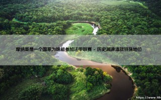 摩纳哥是一个国家为啥能参加法甲联赛？揭秘：这个袖珍王国如何称霸法国足球赛场？