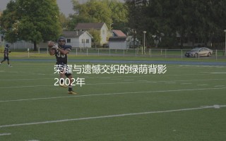 巴拉克拿过冠军吗?荣耀与遗憾交织的绿荫背影  2002年