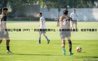 财政公平法案（FFP）的核心要义：解读财政公平法案（FFP）的主要规定