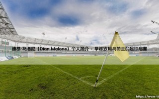 迪昂·马洛尼：一位球员的个人简介，迪昂·马洛尼的足球生涯与故事