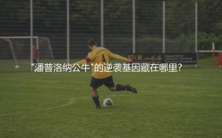 奥萨苏纳队史知名球星："潘普洛纳公牛"的逆袭基因藏在哪里？