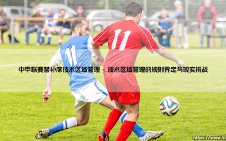 中甲联赛替补席技术区域管理的深度剖析