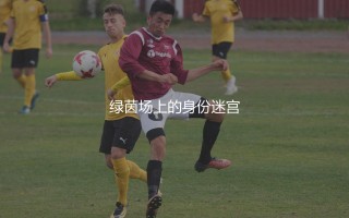足球佩佩到底是葡萄牙人还是巴西人？绿茵场上的身份迷宫