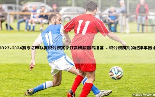 2023-2024赛季法甲联赛积分榜：红黄牌数量如何影响球队最终排名？——深入解读「纪律表现」与联赛格局
