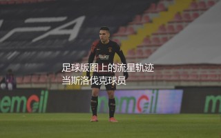 斯洛伐克队参加了几届世界杯？足球版图上的流星轨迹