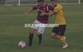 铃木彩艳守门啥水平？当东方蝴蝶扇动翅膀时