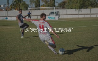 努涅斯为本菲卡打进了多少球？从"天价标王"到"进球机器"