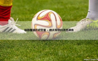埃因霍温历史巨星：飞利浦之城的足球丰碑