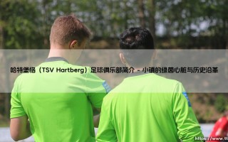 哈特堡格足球俱乐部简介：奥地利东部崛起的绿茵力量——哈特堡格（TSV Hartberg）的故事