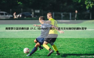 南蒂罗尔传奇：意大利足坛的北境之光与F.C. Südtirol的崛起之路