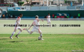 萨尔布吕肯足球俱乐部（1. FC Saarbrücken）简介_足球第一线