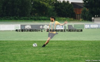考文垂队的昵称叫什么？揭秘考文垂队“天蓝军”背后的传奇故事