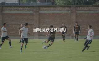 罗纳尔迪尼奥几次金球奖？当精灵跌落凡间时