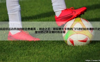 冰岛足球运动员谁的转会费最高「90+」