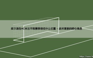 皮尔洛在AC米兰不败赛季担任什么位置——天体足球