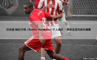 拉米兹·哈拉卡特是谁？——深入解读「Ramiz Harakate」的个人世界与传奇故事