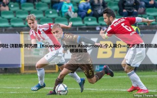 库阿杜·饶勒斯·阿苏穆：一位跨越艺术与行动边界的探索者