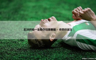 欧洲杯唯一全胜夺冠是哪届？「答案揭晓」：唯一全胜登顶的欧洲杯传奇是哪一届？