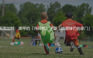 斯图加特：德甲的「升降机」还是「暗藏锋芒的豪门」？
