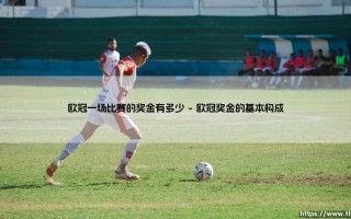 欧冠奖金揭秘：一场比赛的奖金有多少，欧冠奖金的财富分配解析