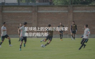 伊涅斯塔职业生涯获得过哪些荣誉？足球场上的交响乐指挥家