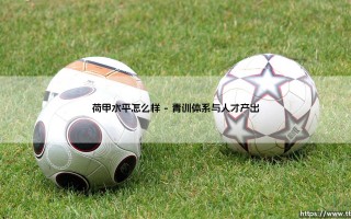 荷甲水平怎么样？深度解析荷兰足球的独特魅力