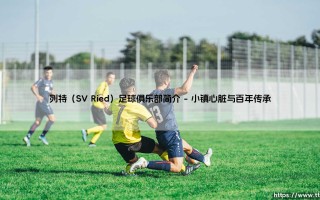 列特足球俱乐部：扎根奥地利的绿茵坚守者