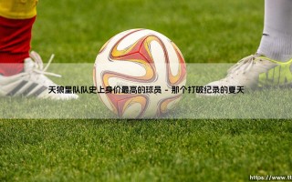 天狼星队史身价之王是谁？揭秘俱乐部最昂贵的签约传奇