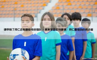 德甲除了拜仁还有哪些传统强队：德国足球的多元格局