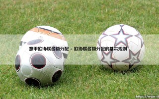 意甲欧协联名额分配：新赛制下的机遇与挑战