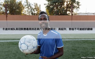 卡迪夫城队英冠联赛最高排名第几——蓝鸟的巅峰时刻与曲折征途