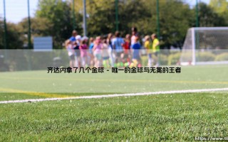 齐达内的金球传奇：一座奖杯背后的足球艺术与时代回响