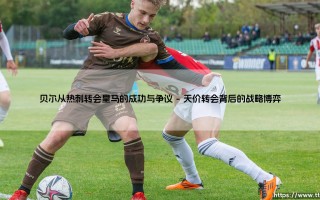 贝尔从热刺转会皇马：一场成功与争议交织的足球史诗