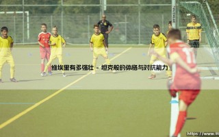 维埃里有多强壮？他的力量是球场上的传奇
