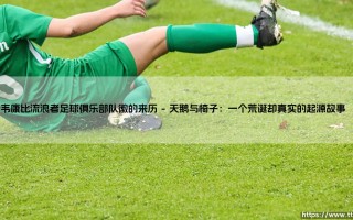 韦康比流浪者足球俱乐部队徽的来历：一段被遗忘的草根传奇