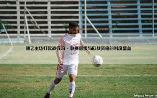 德乙主场打欧战行吗？探讨次级别联赛的洲际赛场梦想