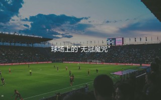 凯恩获得过哪些冠军荣誉?英格兰神锋球场上的"无冠魔咒"