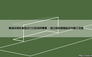 斯洛伐克队参加过几次欧洲杯赛事？揭秘这支东欧铁骑的欧战征程