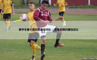 意甲冬窗引援效果最佳球队：盘点冬窗即战力转化的真正赢家