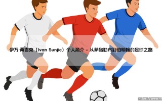 伊万·桑吉克（Ivan Sunjic）个人简介(足球全知道)