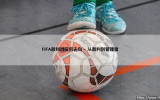FIFA裁判退役后去向：绿茵法官的第二人生
